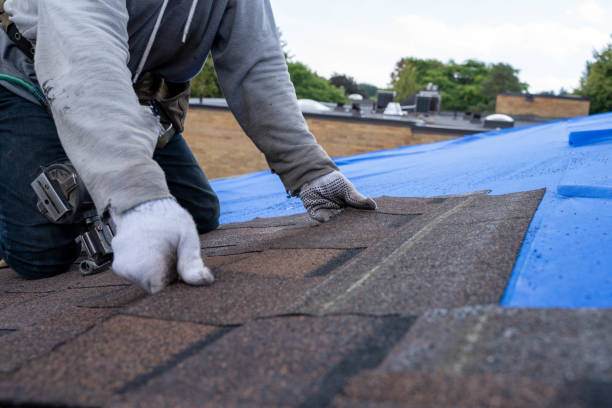 Best Flat Roof Repair Services  in Capitol View, SC