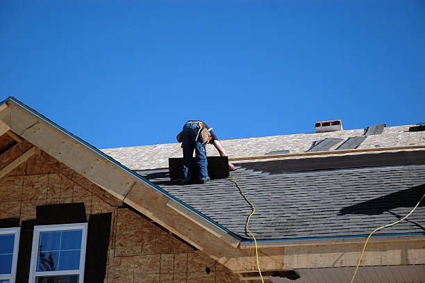Best Gutter Installation and Roofing  in Capitol View, SC