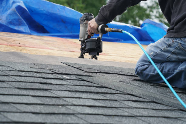 Best Roof Waterproofing Services  in Capitol View, SC