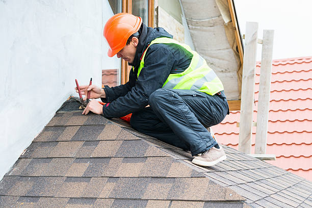 Best Roof Maintenance Services  in Capitol View, SC