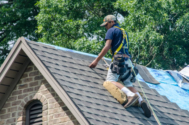 Best Commercial Roof Installation  in Capitol View, SC