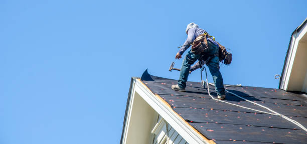 Quick and Trustworthy Emergency Roof Repair Services in Capitol View, SC